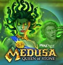 Medusa Queen of Stone