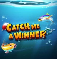 Catch me a Winner