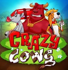 Crazy Cows