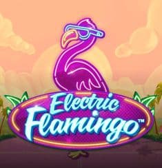 Electric Flamingo