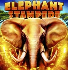 Elephant Stampede