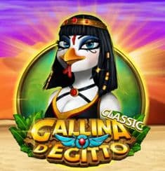 Gallina d'Egitto Classic