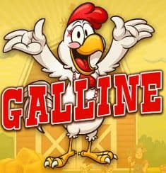 Galline