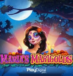 Maria's Marigolds