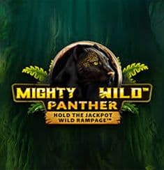 Mighty Wild Panther