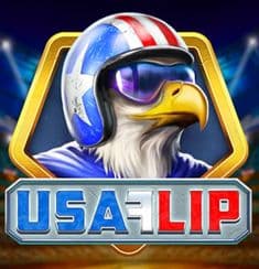 USA Flip