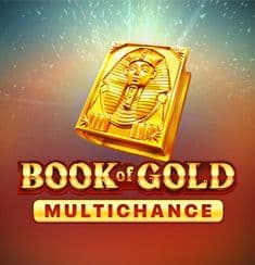 Book of Gold Multichance
