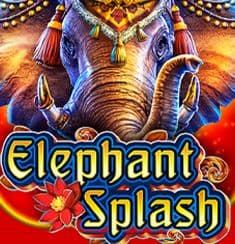 Elephant Splash