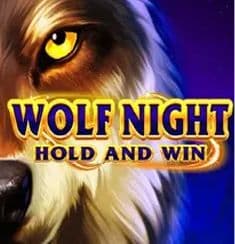 Wolf Night